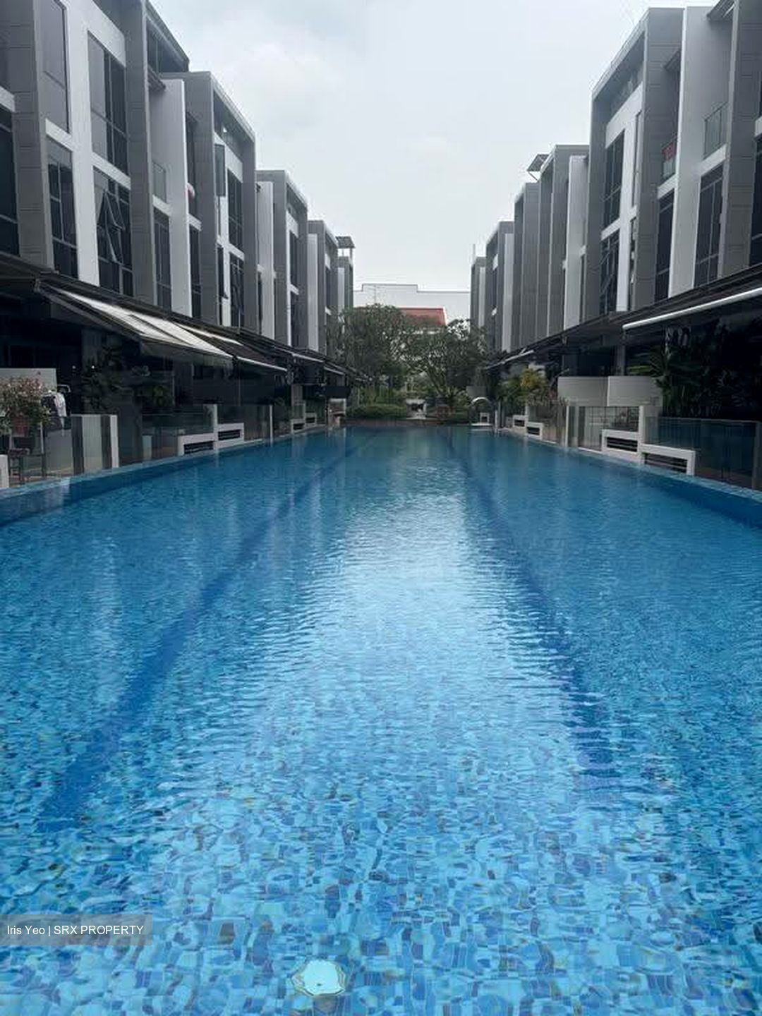 Belgravia Villas (D28), Terrace #623077711